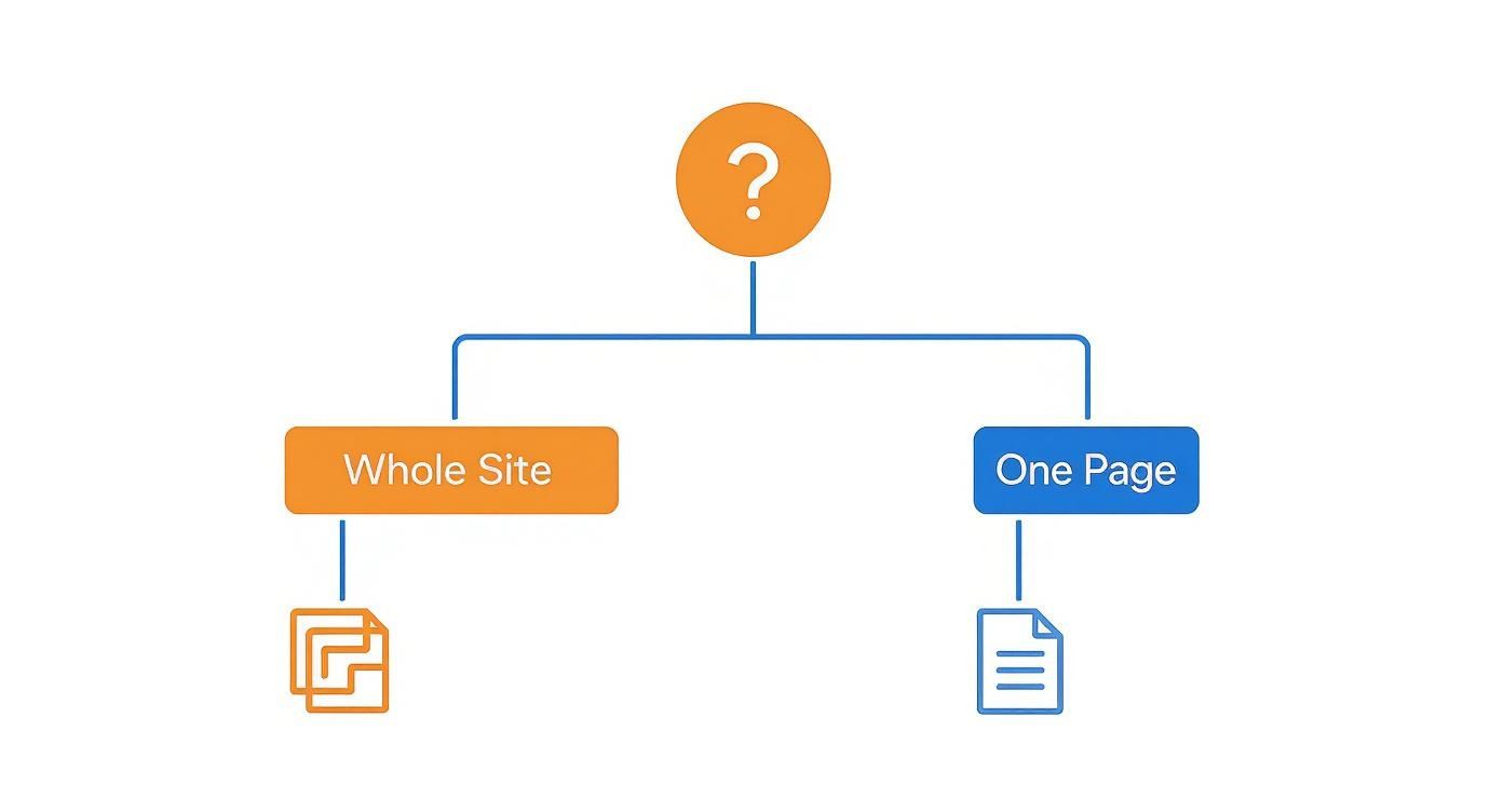 A diagram comparing 'Whole Site' with multiple pages icon, and 'One Page' with a single document icon.
