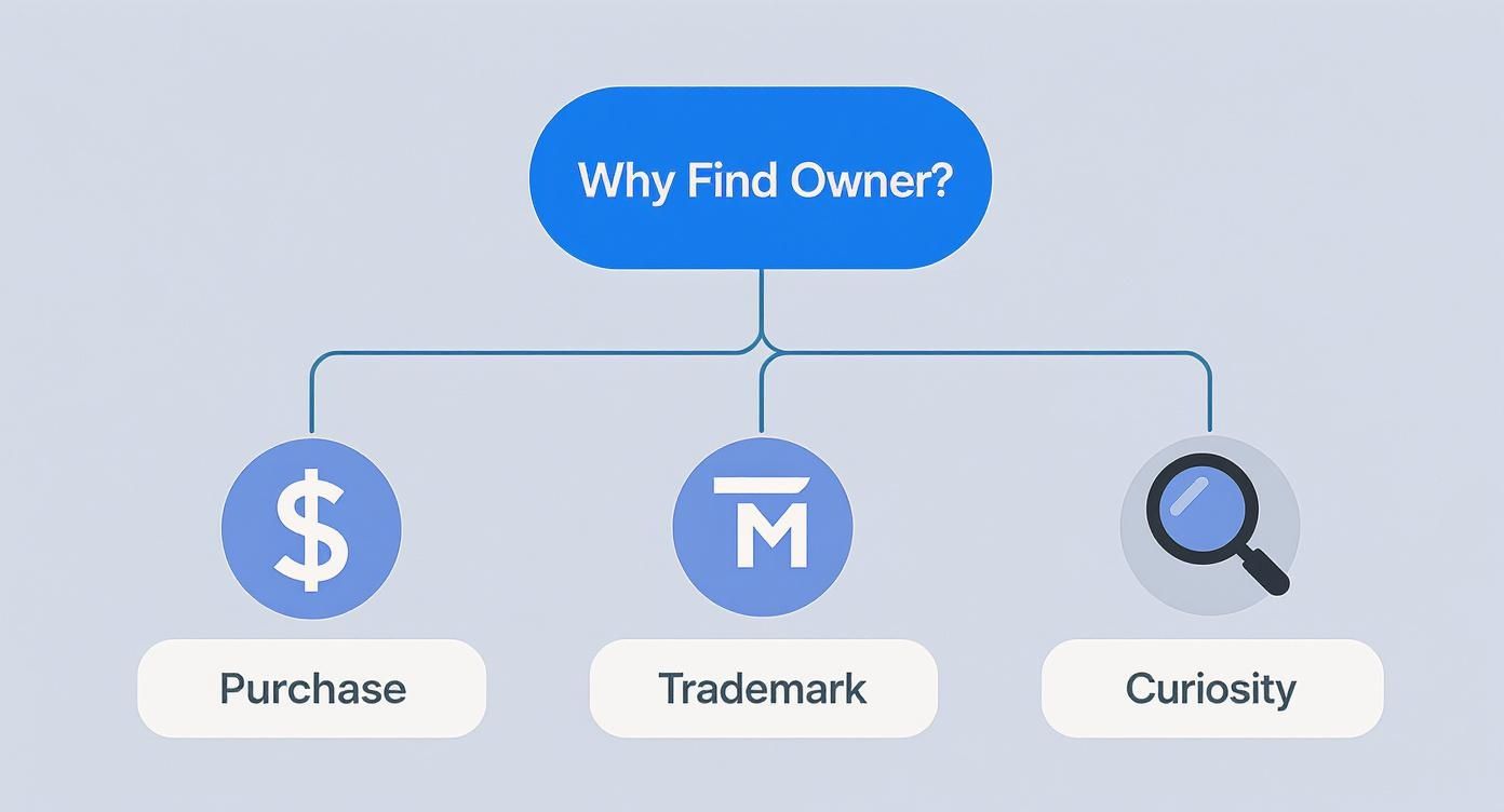 Diagram outlining three primary reasons to find an owner: purchase, trademark, or curiosity.