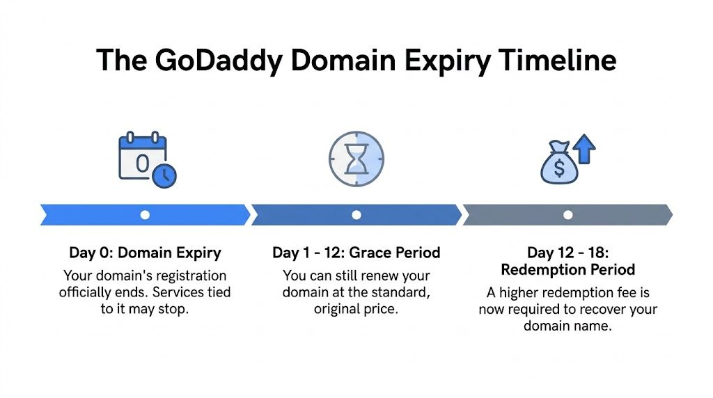 A timeline graphic illustrating the GoDaddy domain expiration process, showing the expiry, grace period, and redemption period stages.