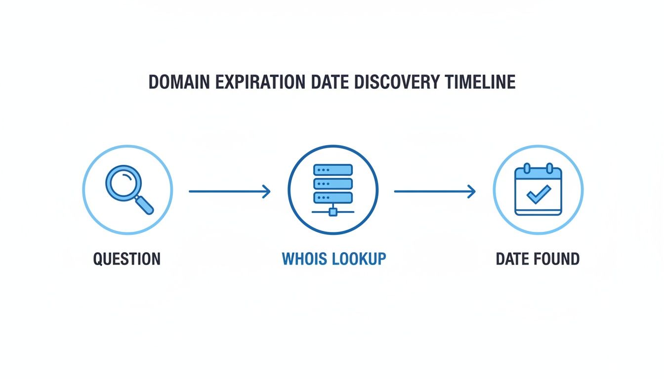A timeline diagram illustrating the process of discovering a domain's expiration date: Question, WHOIS Lookup, Date Found.