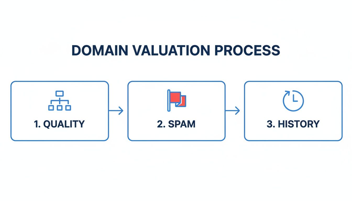 Infographic detailing the domain valuation process, covering quality, spam, and historical factors.