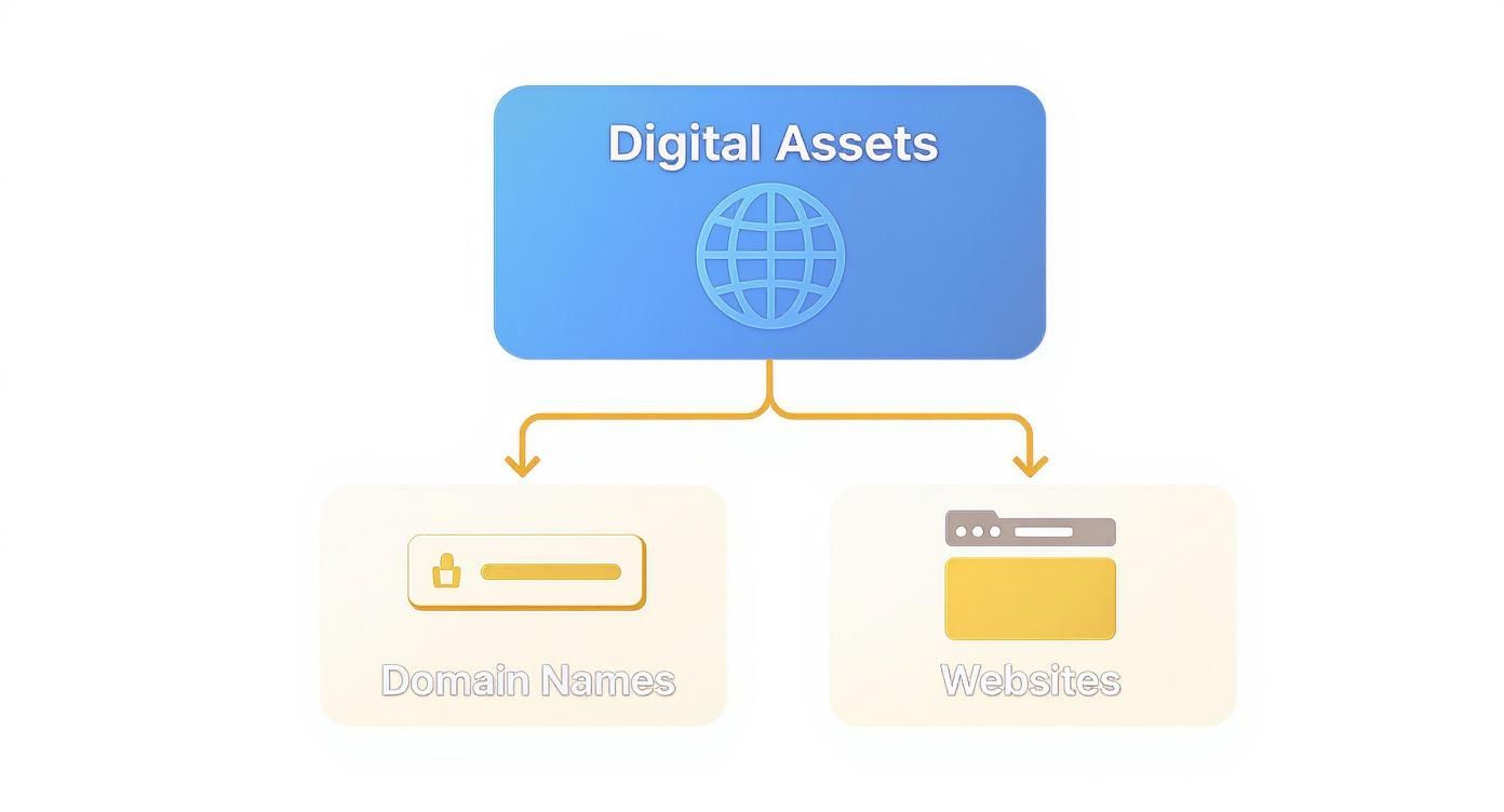 A flowchart illustrating digital assets categorized into domain names and websites, with clear icons.