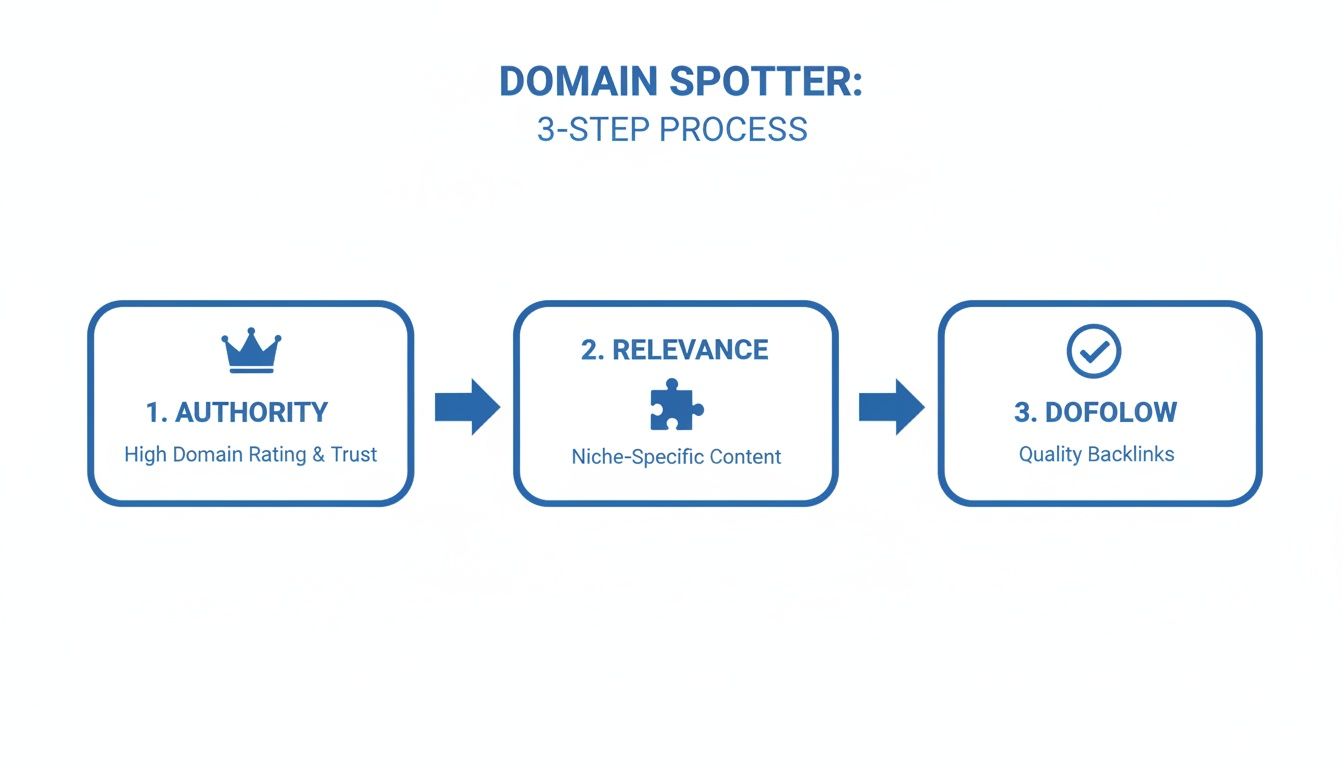 Infographic showing Domain Spotter's 3-step process: Authority, Relevance, and Dofollow quality backlinks.