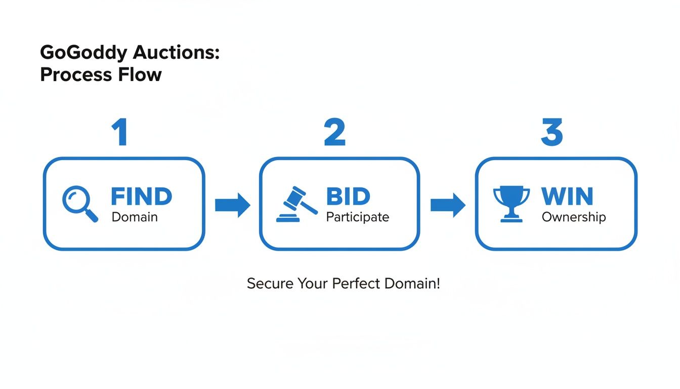 GoDaddy Auctions process flow: Find, Bid, and Win for domain ownership.