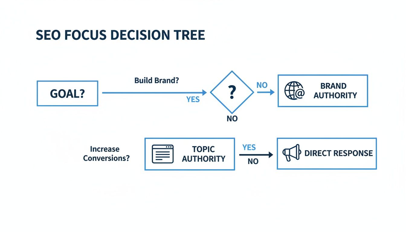 SEO focus decision tree showing paths from goal to brand authority, topic authority, or direct response.