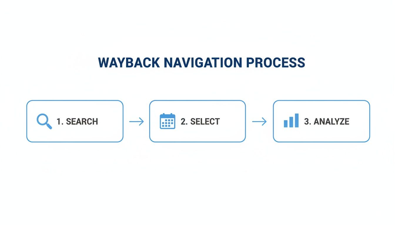 Diagram illustrating the Wayback Navigation Process with three steps: Search, Select, and Analyze.