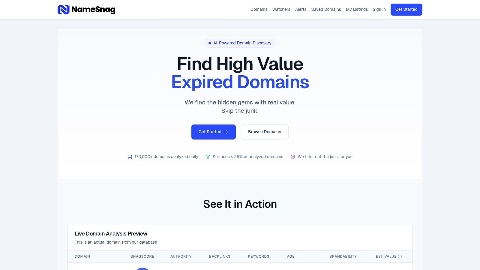 Strategy 1: Find Recently Dropped Gems with AI-Powered Vetting (Using NameSnag)