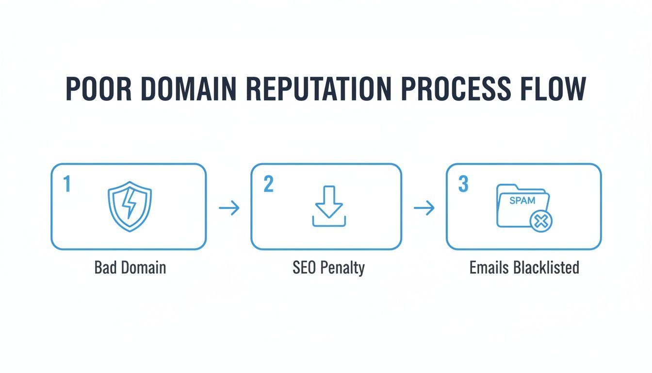 A process flow diagram shows bad domain reputation leading to SEO penalties and blacklisted emails.