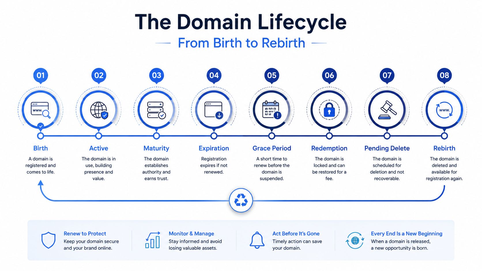 A visual guide explaining the eight stages of the domain name lifecycle from initial registration to deletion.