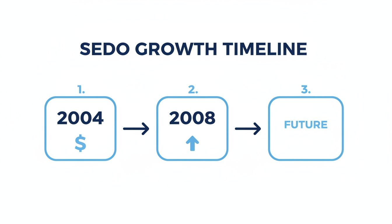 Sedo growth timeline showing milestones: 2004 (dollar sign), 2008 (upward arrow), and Future.