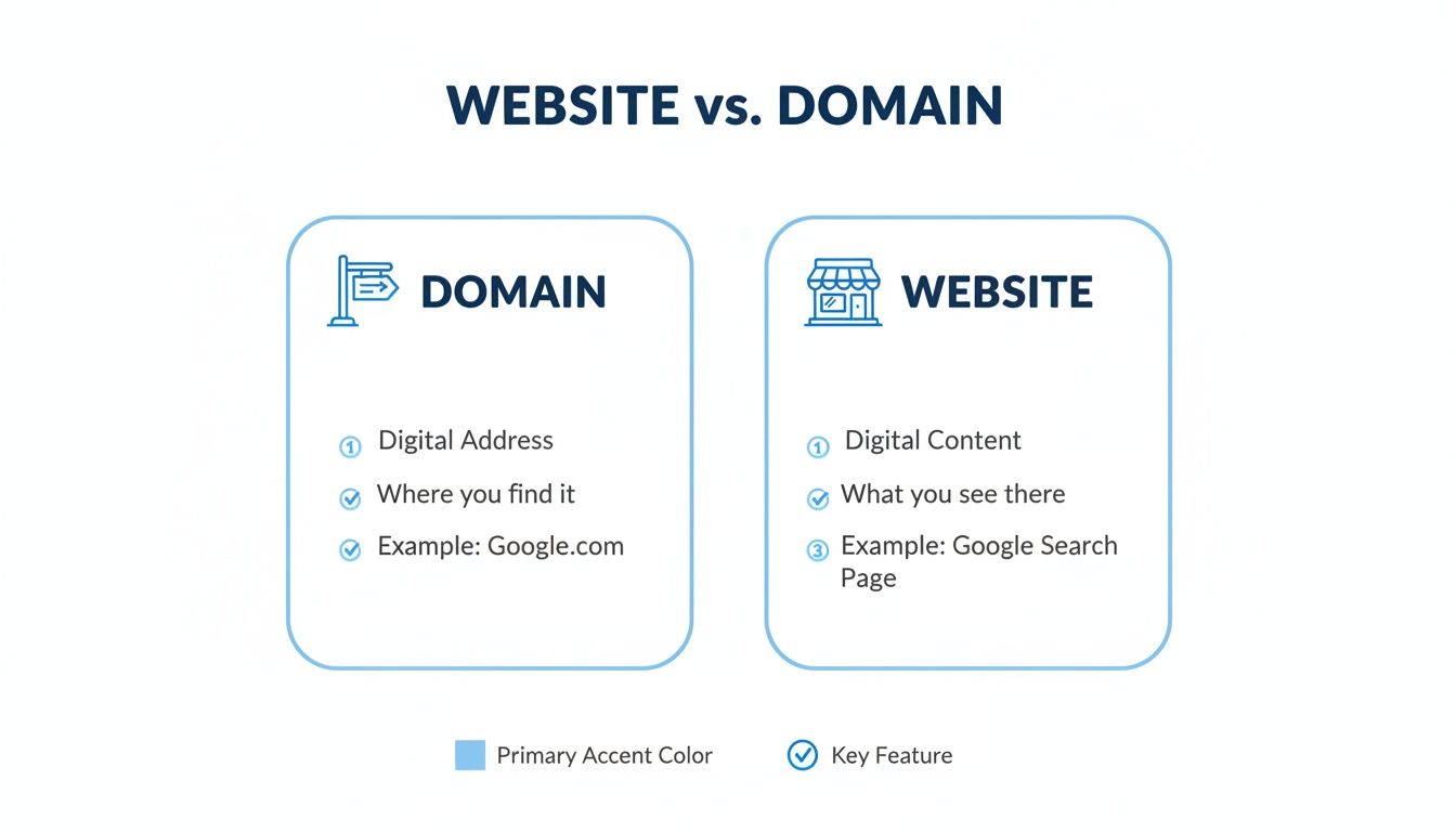 Infographic clearly explaining the differences between a website and a domain, with definitions and examples for each.