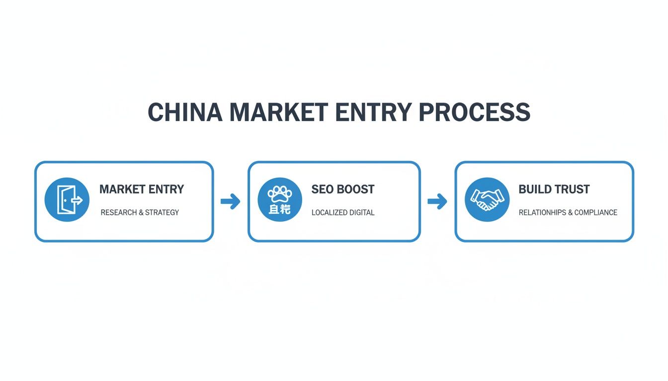 Flowchart illustrating the China market entry process with steps for research, SEO, and building trust.